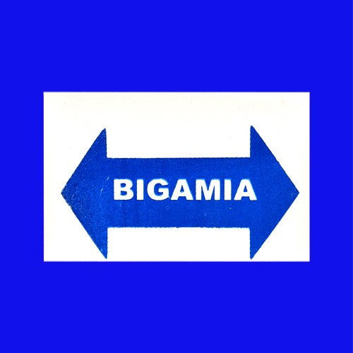 Placa Identificação - Bigamia