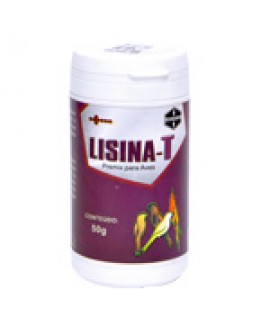 Lisina T- Aminoácidos Amgercal - 50 gramas 